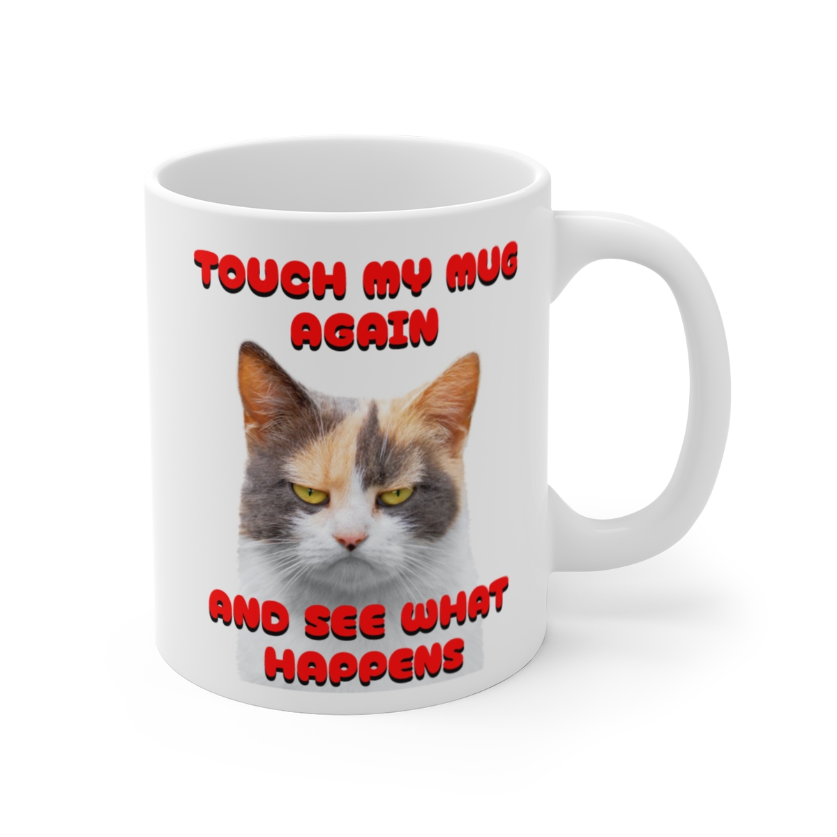 Touch My Mug Again and See What Happens Funny Grumpy Cat Coffee Cup