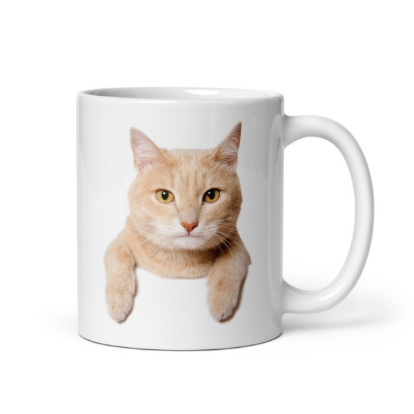 Funny Cat Stare Coffee Mug