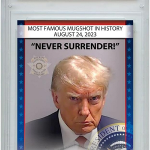 Trump Mugshot Collector Trading Card